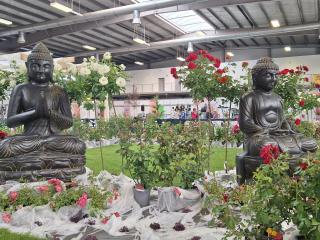 20250620_091710.jpg Alternativní text