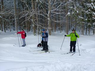 Běžecké lyžování Kvildsko