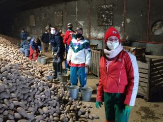 pracovní rehabilitace