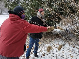 VÁNOČNÍ STROMEK PRO ZVÍŘATA