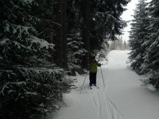 Běžecké lyžování Kvildsko