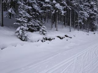 Běžecké lyžování Kvildsko