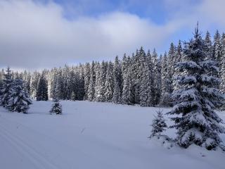 Běžecké lyžování Kvildsko