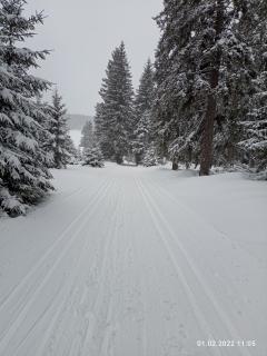 Běžecké lyžování Kvildsko