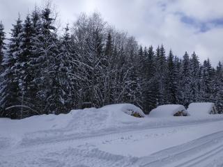 Běžecké lyžování Kvildsko