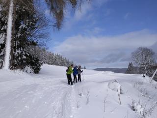 Běžecké lyžování Kvildsko