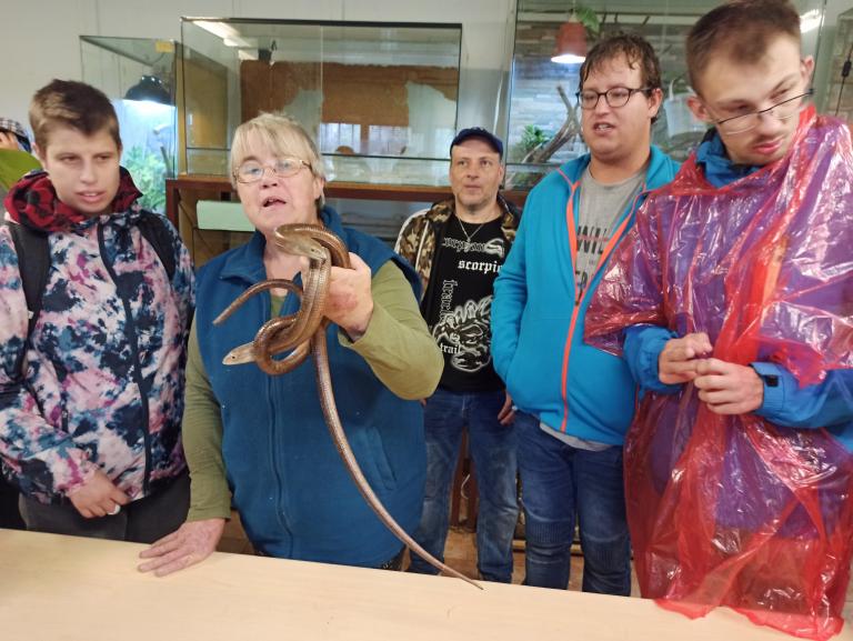 ENVIRONMENTÁLNÍ VÝCHOVA HORAŽĎOVICE