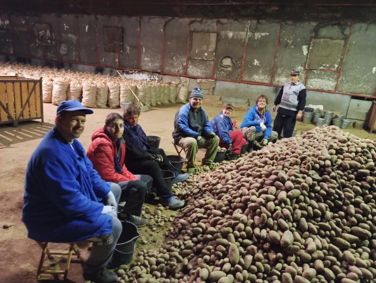 pracovní rehabilitace