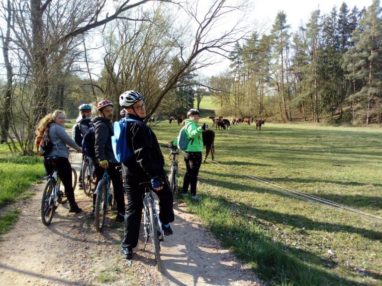 CYKLOTURISTIKA - Hoštice